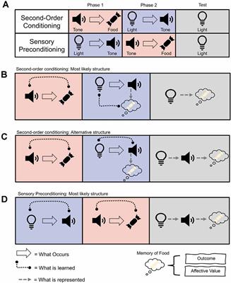 Higher-Order Conditioning and Dopamine: Charting a Path Forward